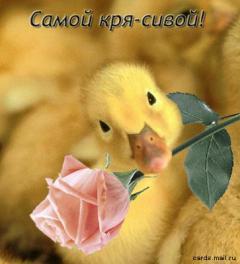 Инна Макаренко