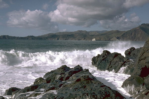 Сергей Прокопцов