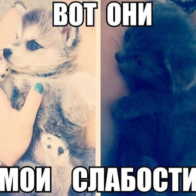 Лиза Мартынова