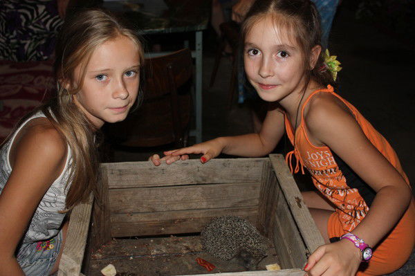 София Келлер