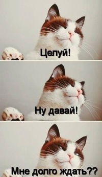 Юля Гляненко