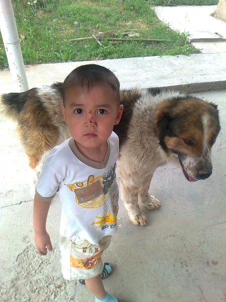 Азиз Орымбаев