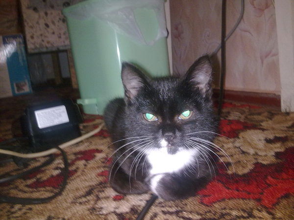 Морозов Алексей