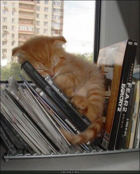 Ольга Яновна