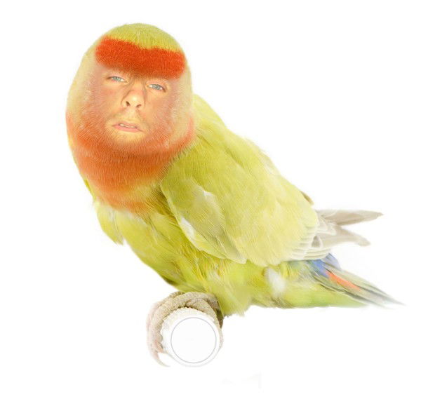 Максим Орлов