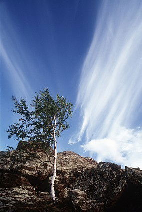 Анна Малахиева