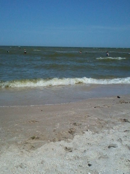 Светлана Шабельная