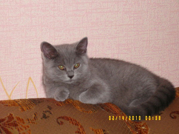 Олеся Селивёрстова