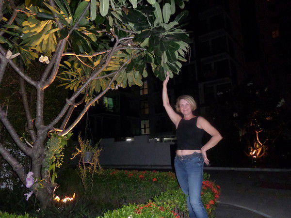 Ерохина Марина