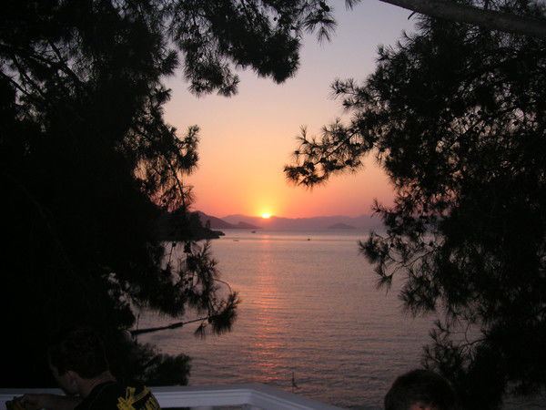 Людмила Шубцова