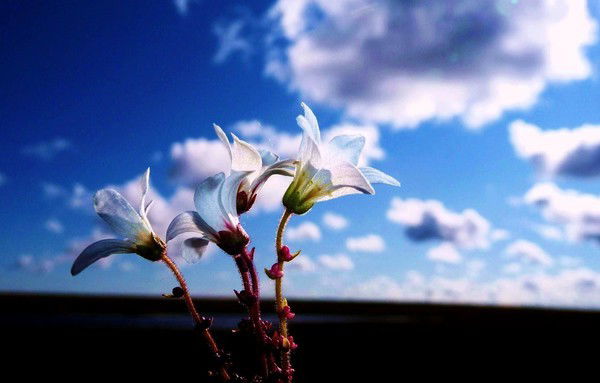 Мария Малинкина