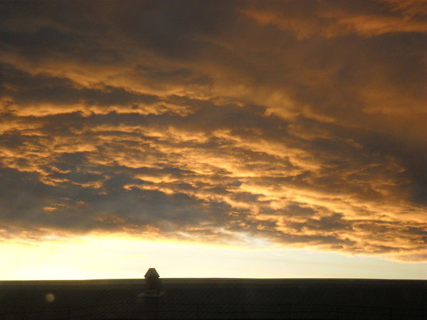 Денис Путинцев