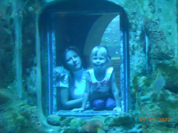 Анна Шмонина