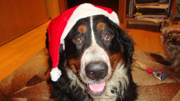 Марина Бирюкова