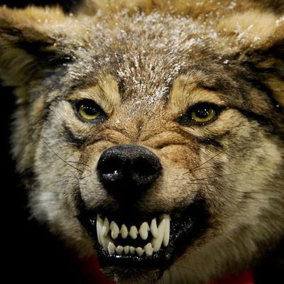 Геннадий Теркин