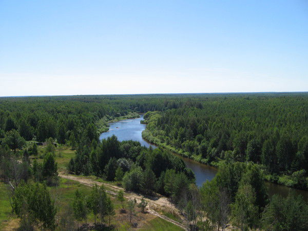 Татьяна Фомина