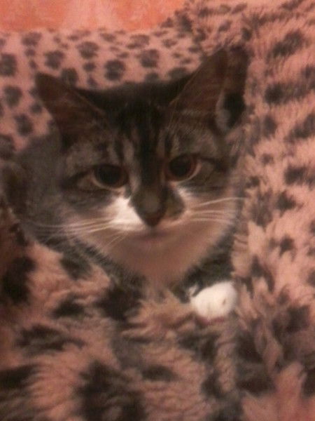 Алина Родыгина