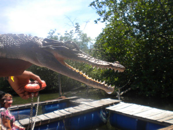 Игорь Олищук