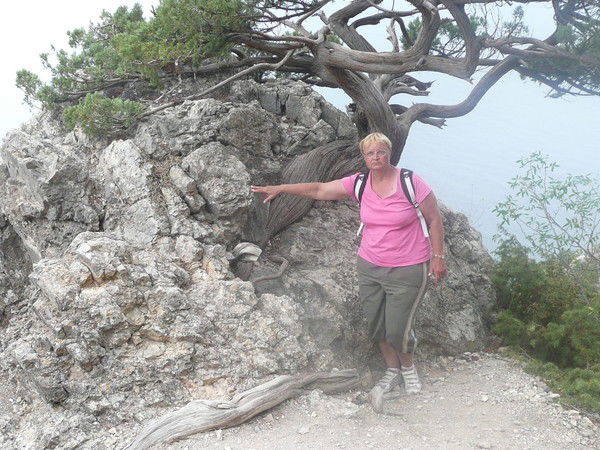 Светлана Шобанова