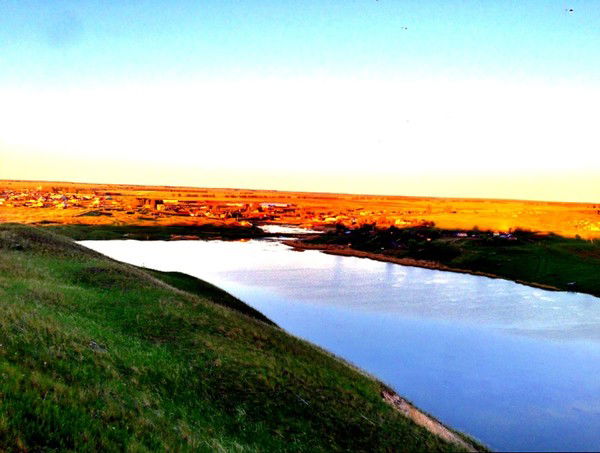 Роман Вытовтов