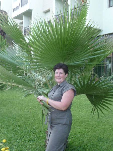 Наталья Заврачева