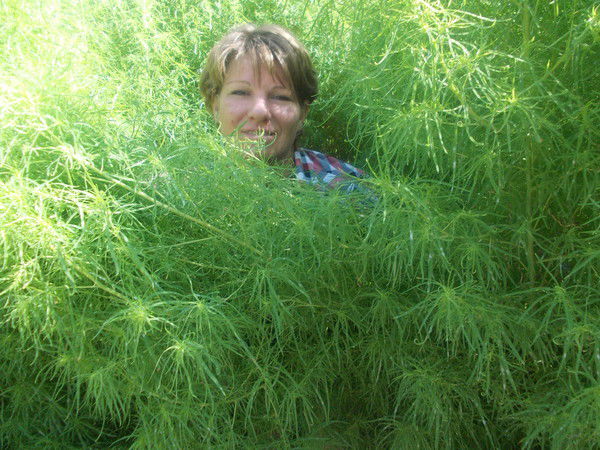 Натали Чеботарева