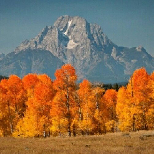 Мария Сергеевна Комарова