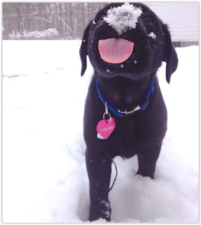 Анна Алдошина