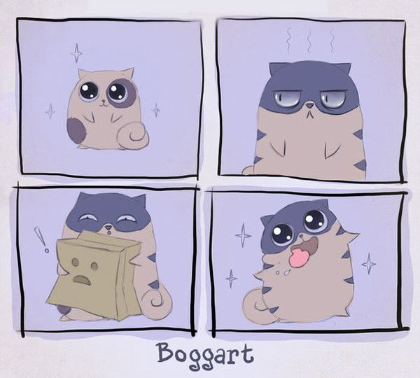 Алина Габидулина