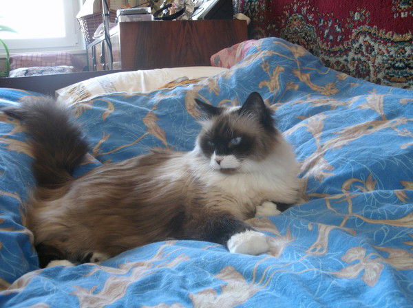 Лида Дмитриева