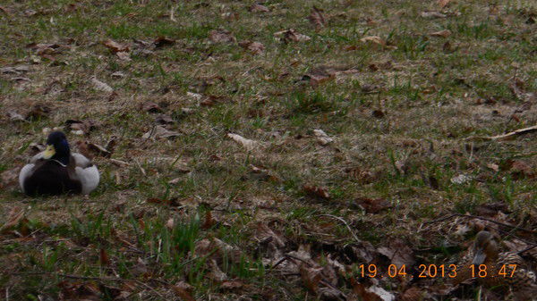 Татьяна Жуковец