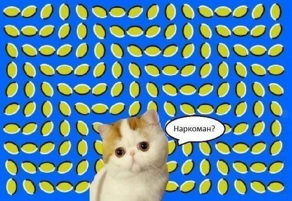 Валерия Кирсовна