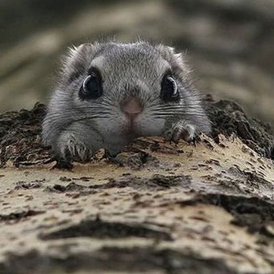 Соня Потапенко