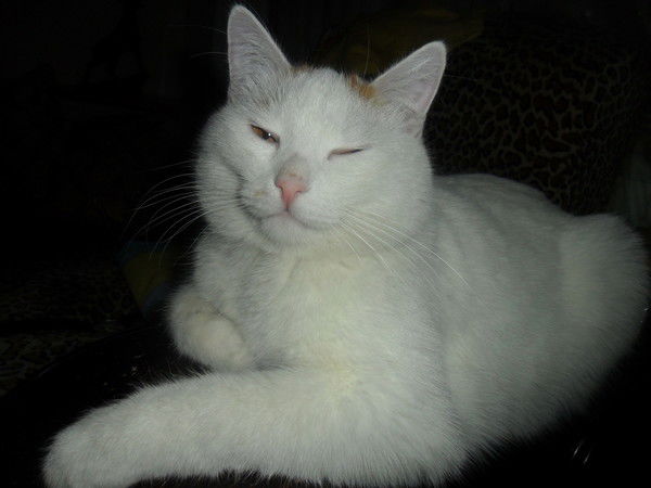 Александр Филипп