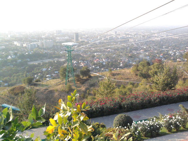 Жадыра Багыткызы