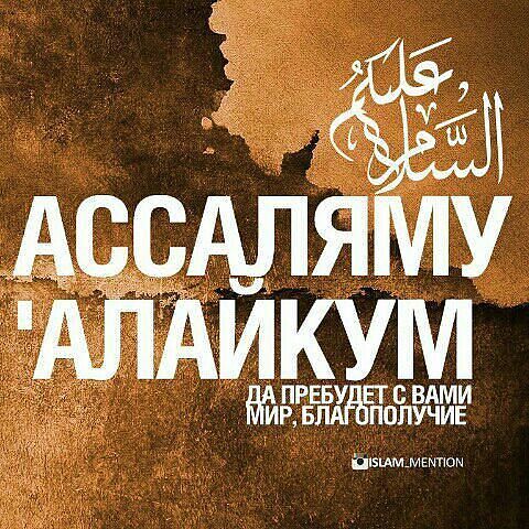 Айдана Салиева