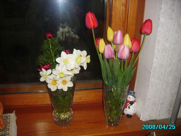 Анастасия Гринько