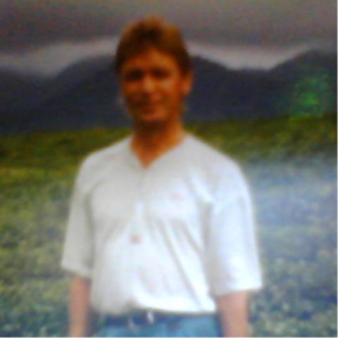 Владимир Разживин