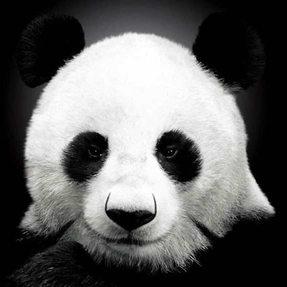 Марина Михалёва