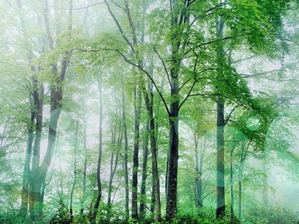 Аслан Мунасов