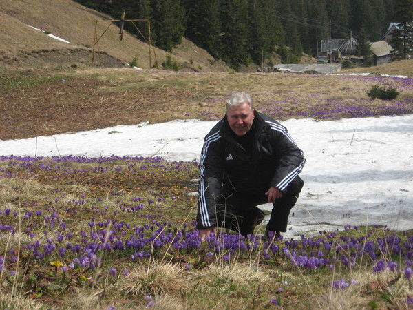 Игорь Киреев