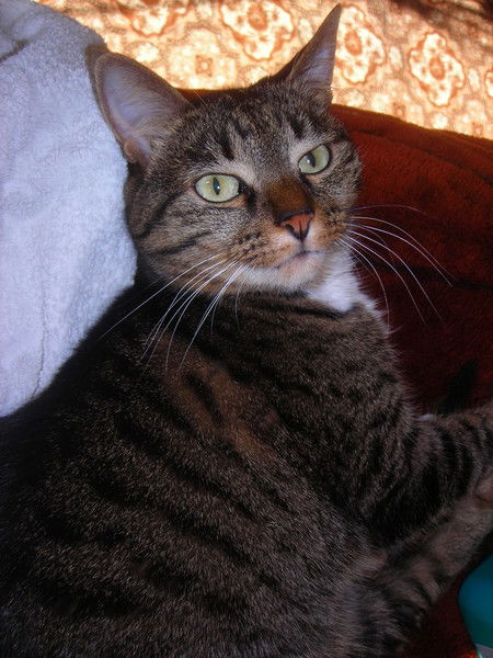 Юлия Калина