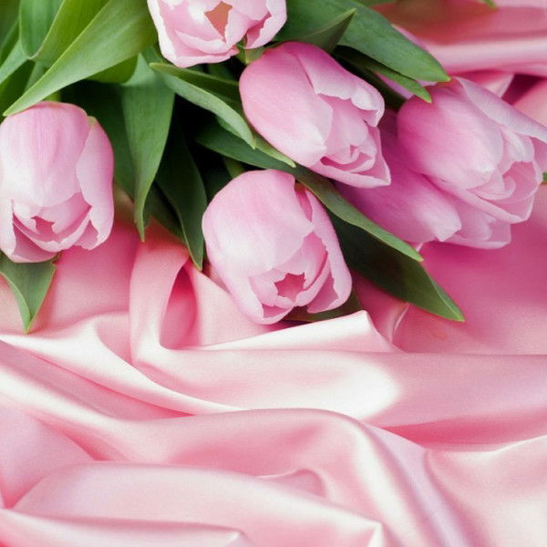 Анар Каирбулатова