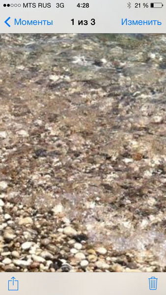 Елена Лебедева