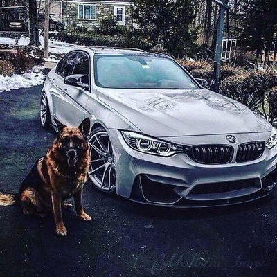 Алексей Егоров