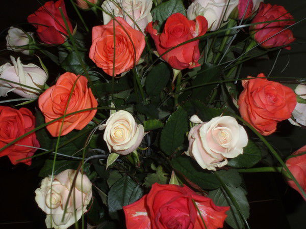 Aльбина Карпова