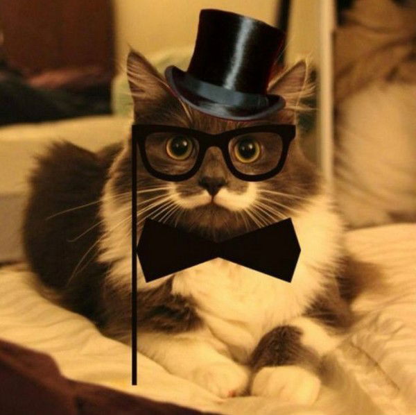 Антон Романов