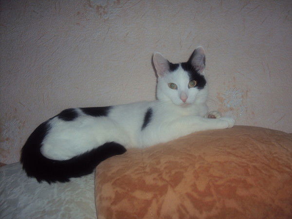 Наталия Крапива