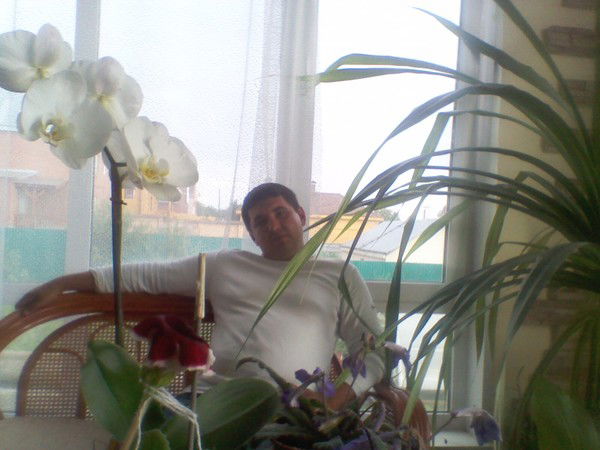 Тимур Имангулов