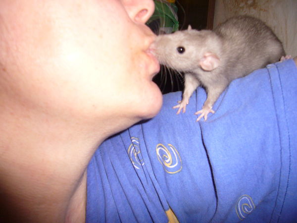 Елена Маслова